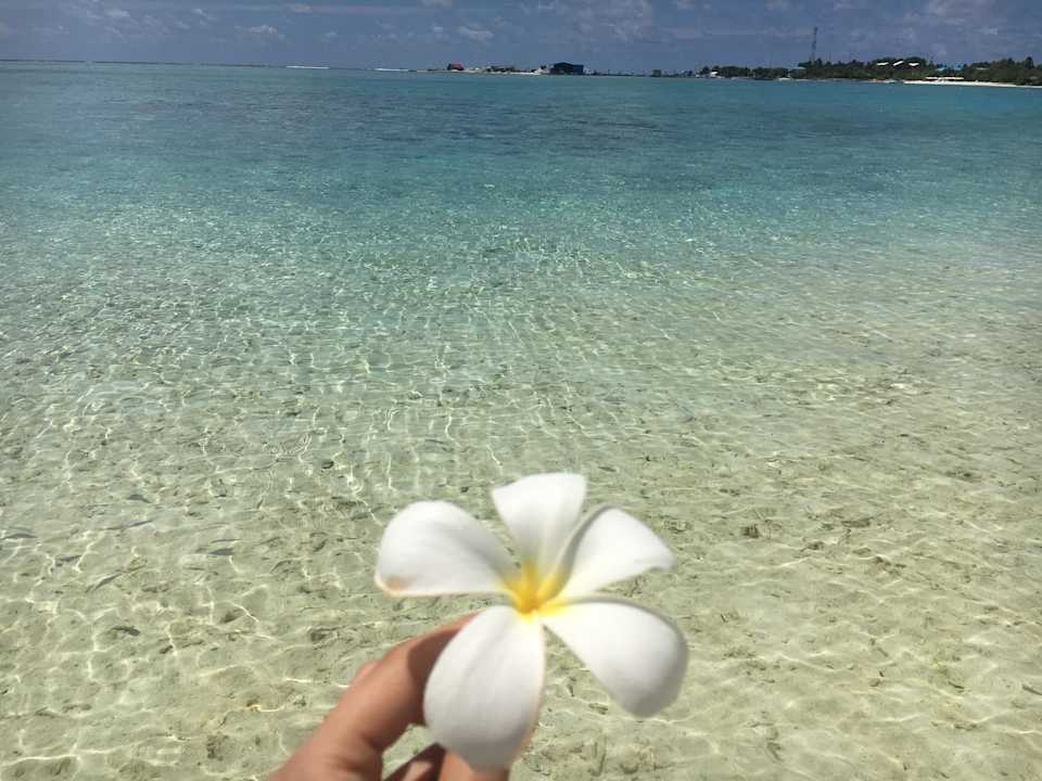 Strand Meeru Maldives Resort Island