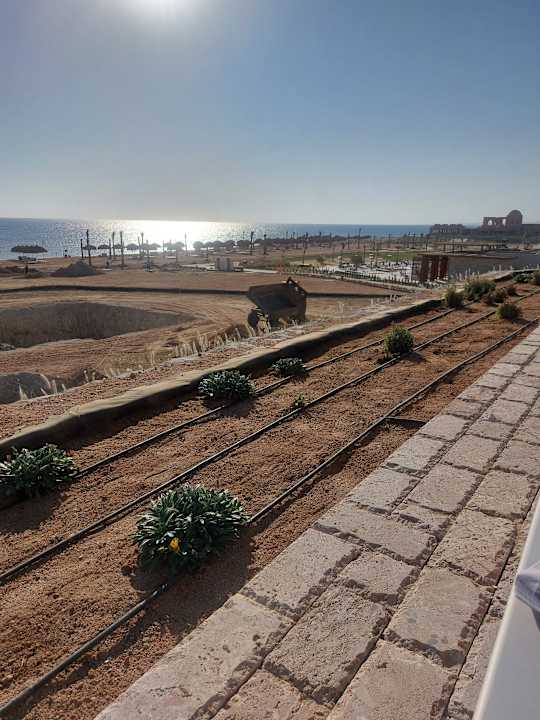 Strand Sentido Reef Oasis Suakin