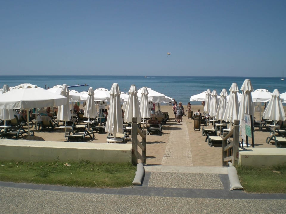 Strand Side Star Elegance