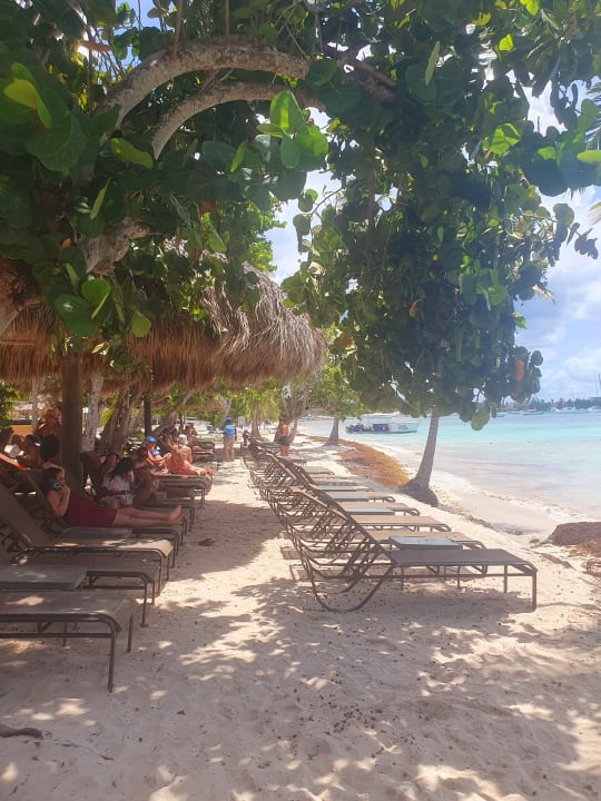 Strand Secrets La Romana Resort & Spa - Adult Only