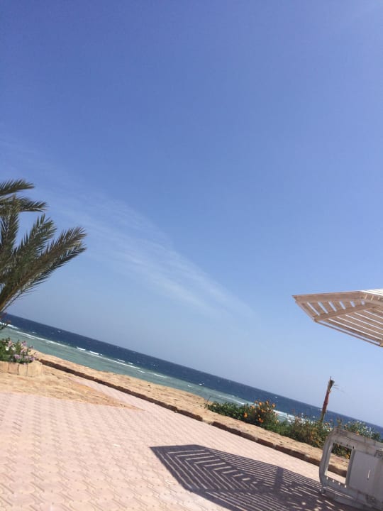 Aussicht am Pool  Three Corners Equinox Beach Resort