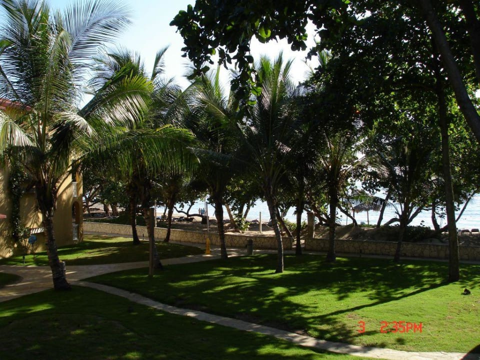 Blick auf den Strand Marien Puerto Plata