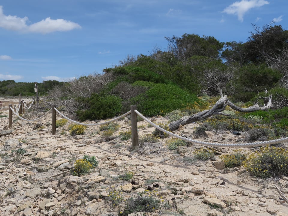 Strand Universal Hotel Cabo Blanco - Adults Only