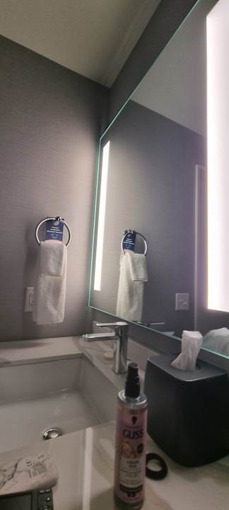 Zimmer Hyatt Place LAX/Century BLVD