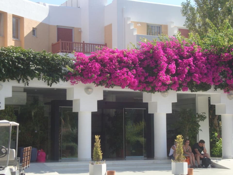 Hoteleingang Anissa Beach & Village