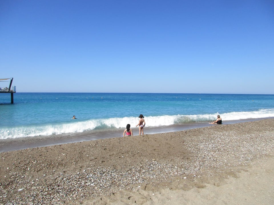 Hotelstrand, sehr nah aber steinig Seaden Sea World Resort & Spa