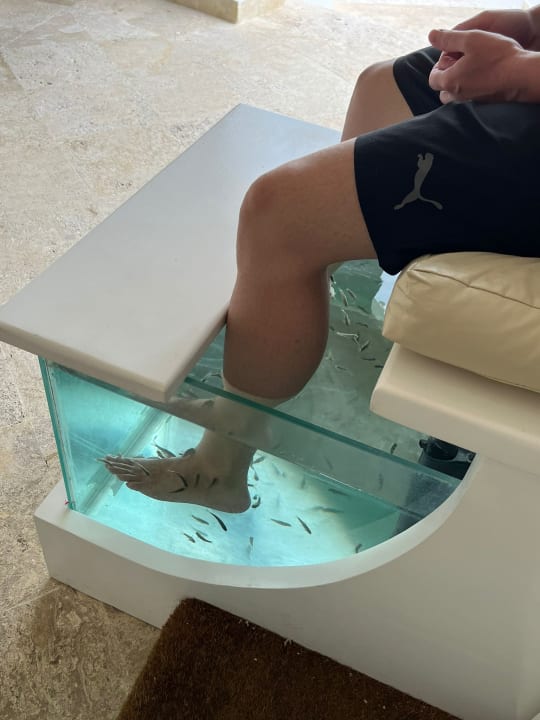 Sport & Freizeit Dreams Dominicus La Romana