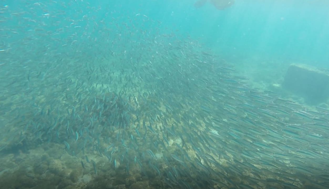 Strand Riviera Spa Resort - Adults Only