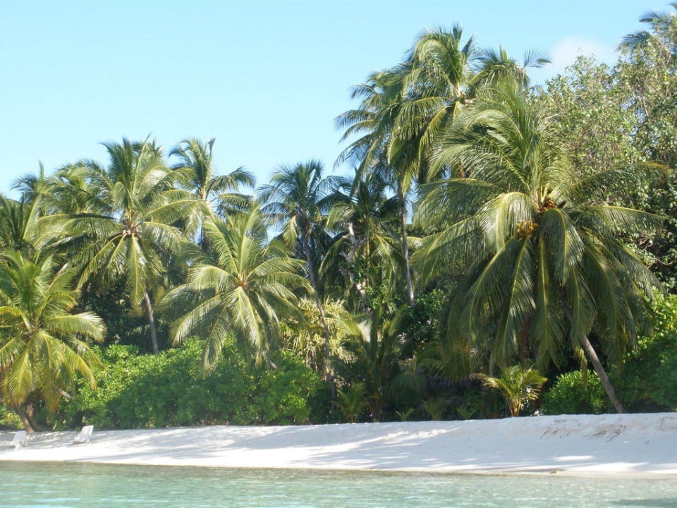 Traumstrand Kuramathi Maldives