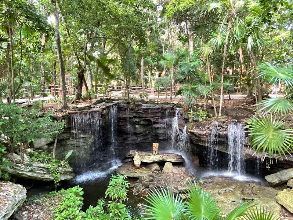 Gartenanlage Iberostar Waves Tucan