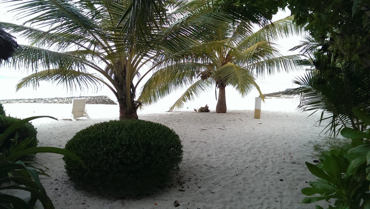 Herrlich Summer Island Maldives