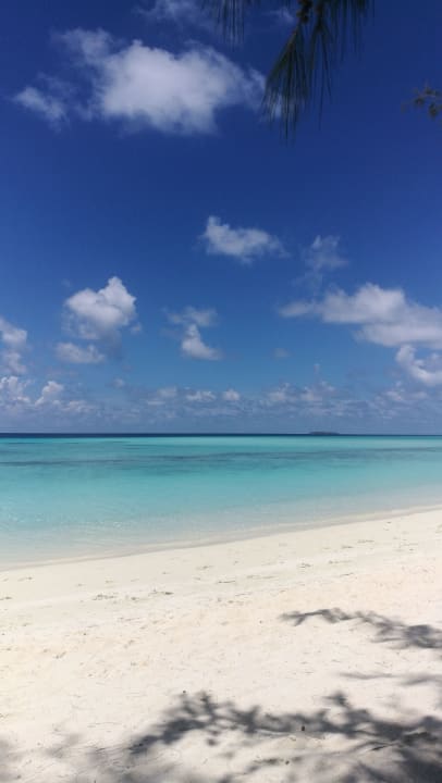Strand Summer Island Maldives