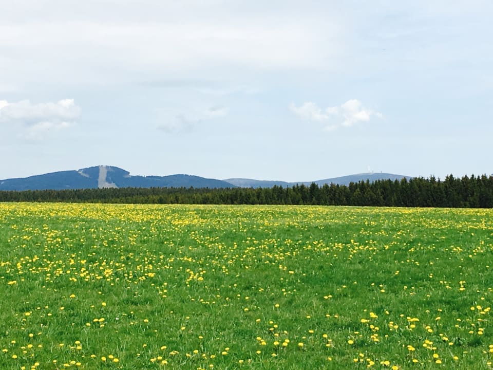 Sonstiges waldhotel AUSZEIT