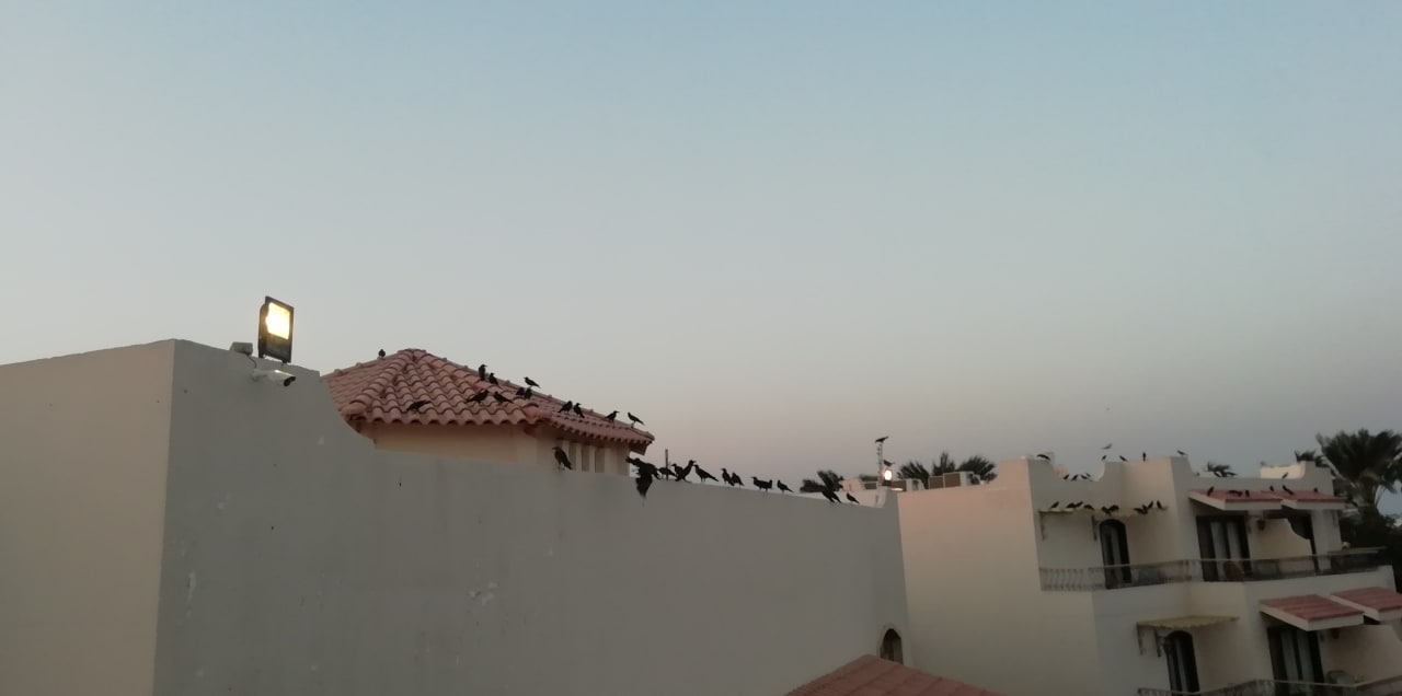 Außenansicht Lotus Bay Beach Resort