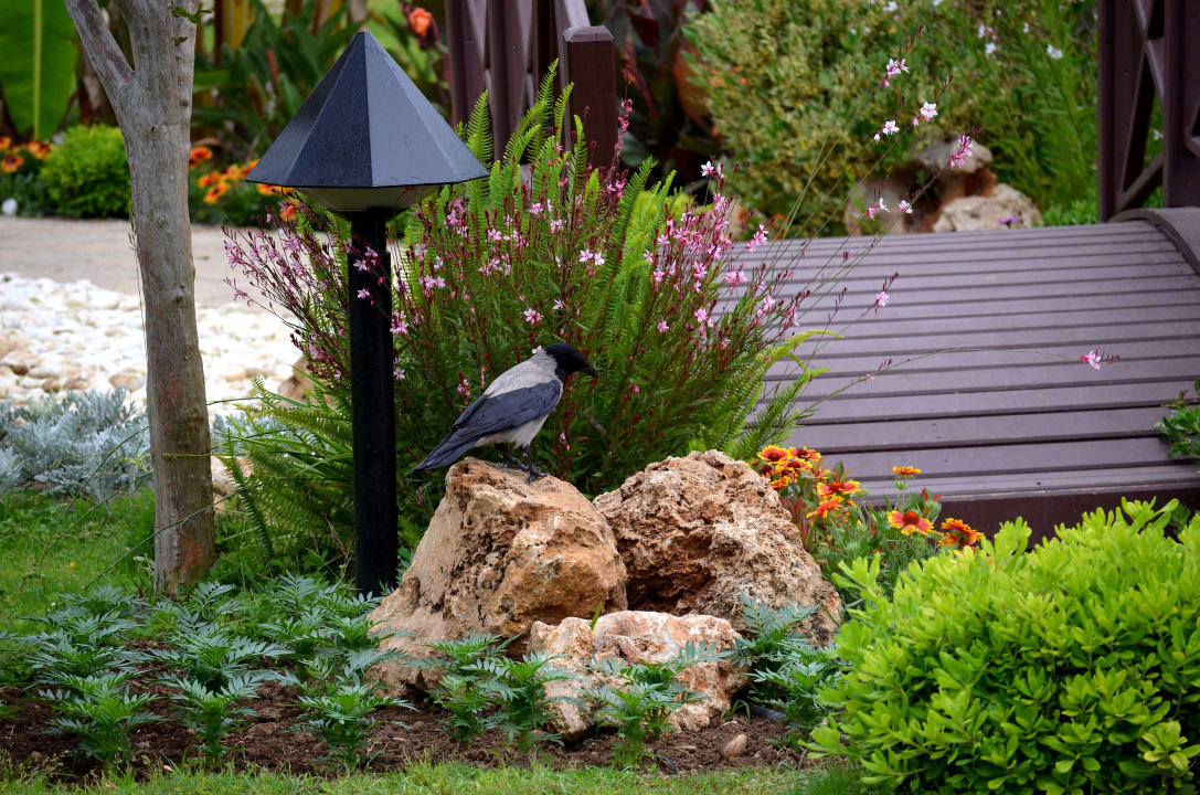 Gartenanlage Megasaray Club Belek