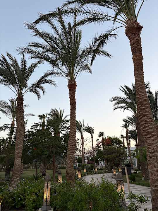 Außenansicht The Grand Palace - Adults only