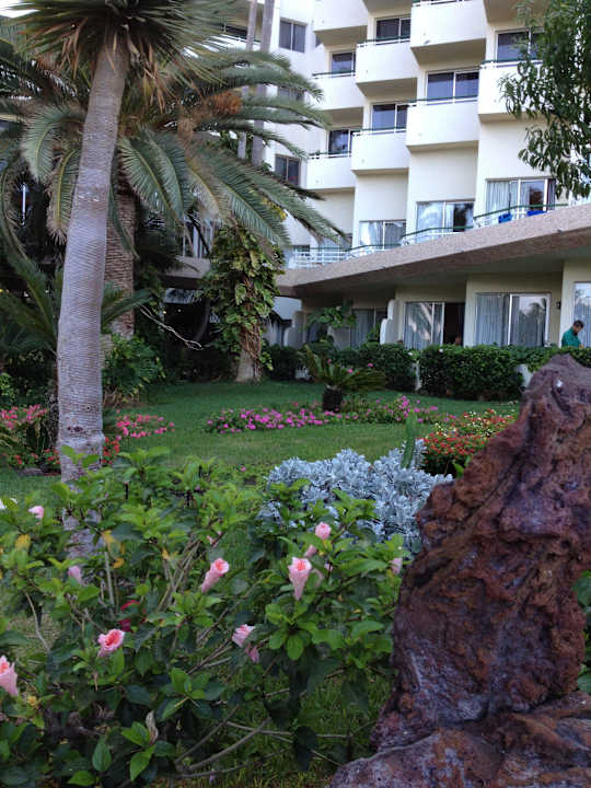 Jardin H10 Las Palmeras