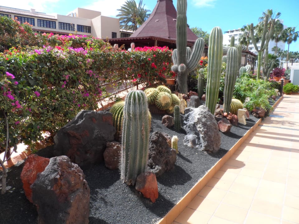 Sehr gepflegt IFA Altamarena by Lopesan Hotels