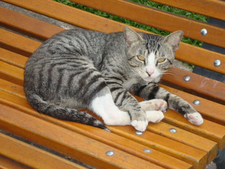 Sonstiges Hotel Best Siroco