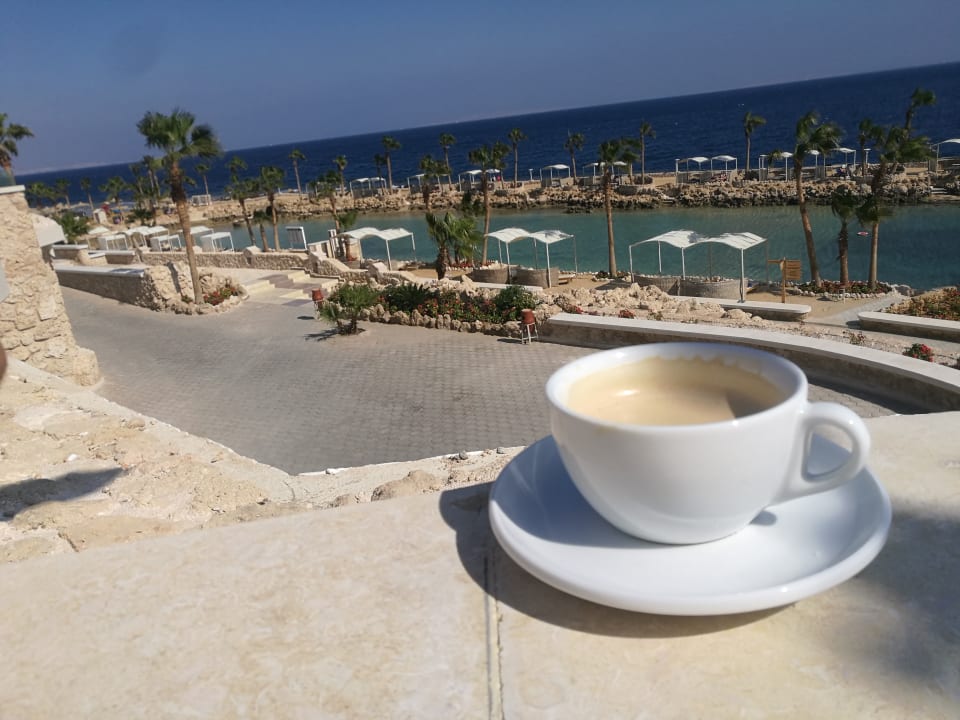 Ausblick Pickalbatros Citadel Resort