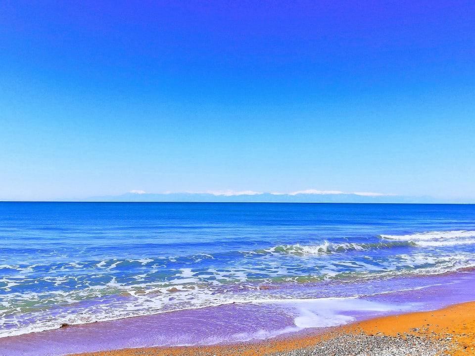 Strand Acanthus Cennet Barut Collection