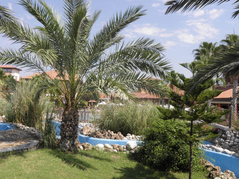 Pool Club Grand Aqua