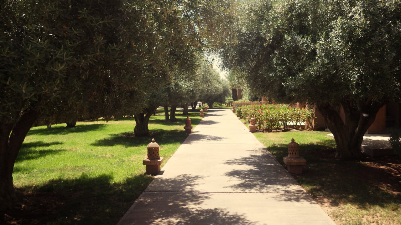 Gartenanlage Hotel Kenzi Club Agdal Medina