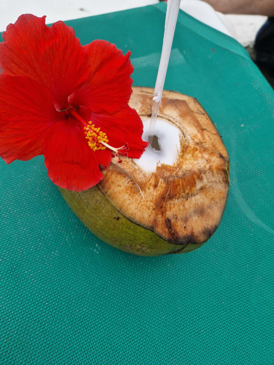 Gastro Playabachata Hotel