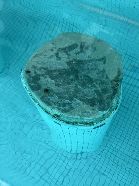 Pool Grand Palladium Select Bávaro Resort & Spa