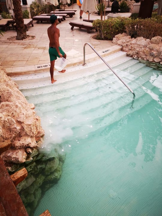 Pool Ghazala Gardens
