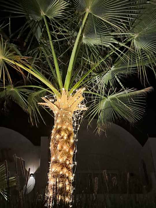 Gartenanlage SUNRISE Anjum Resort Marsa Alam