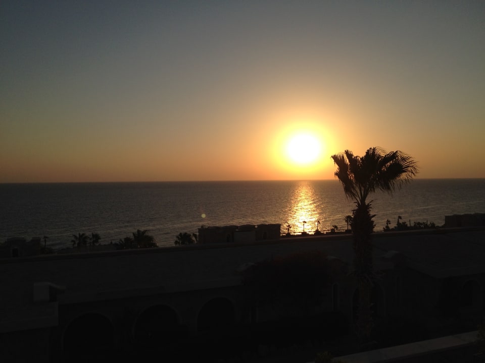 Zimmer Pickalbatros Citadel Resort