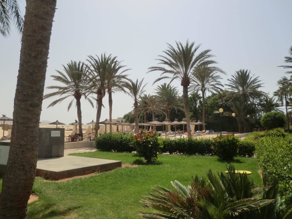 Gartenanlage Hotel Riu Oliva Beach - Hotel