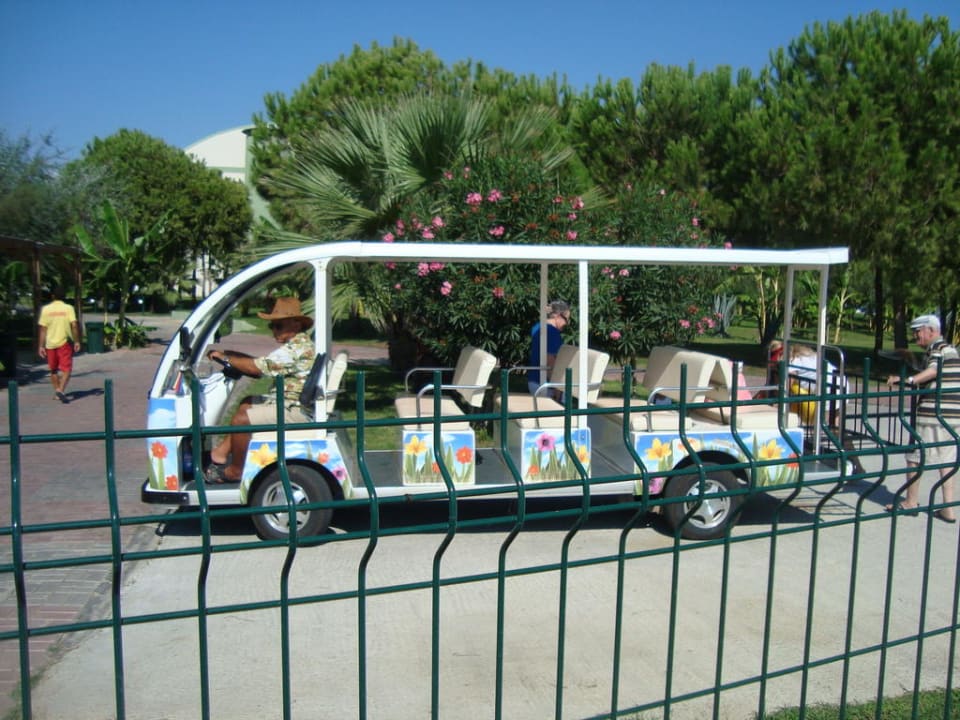 Bus  zum Strand fahren 3 Stück von  VONRESORT Golden Beach