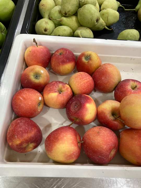 Gastro Irene Palace Beach Resort