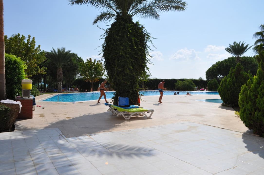 Kleiner Pool Club Turtas Beach Hotel