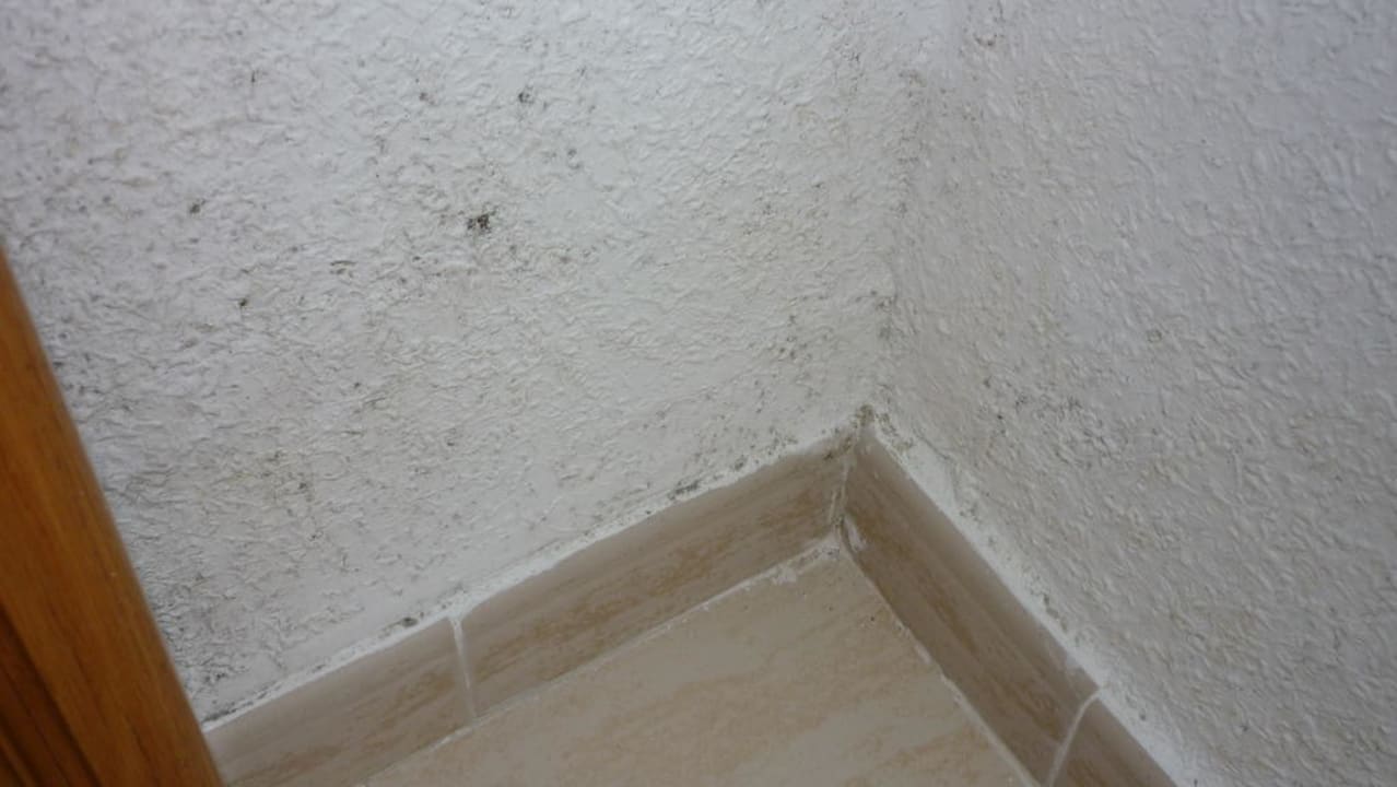 Schimmel am Bett Valentin Reina Paguera