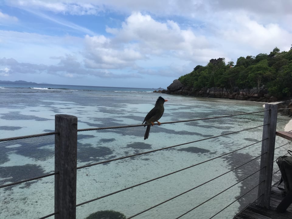 Gastro Le Domaine de l'Orangeraie