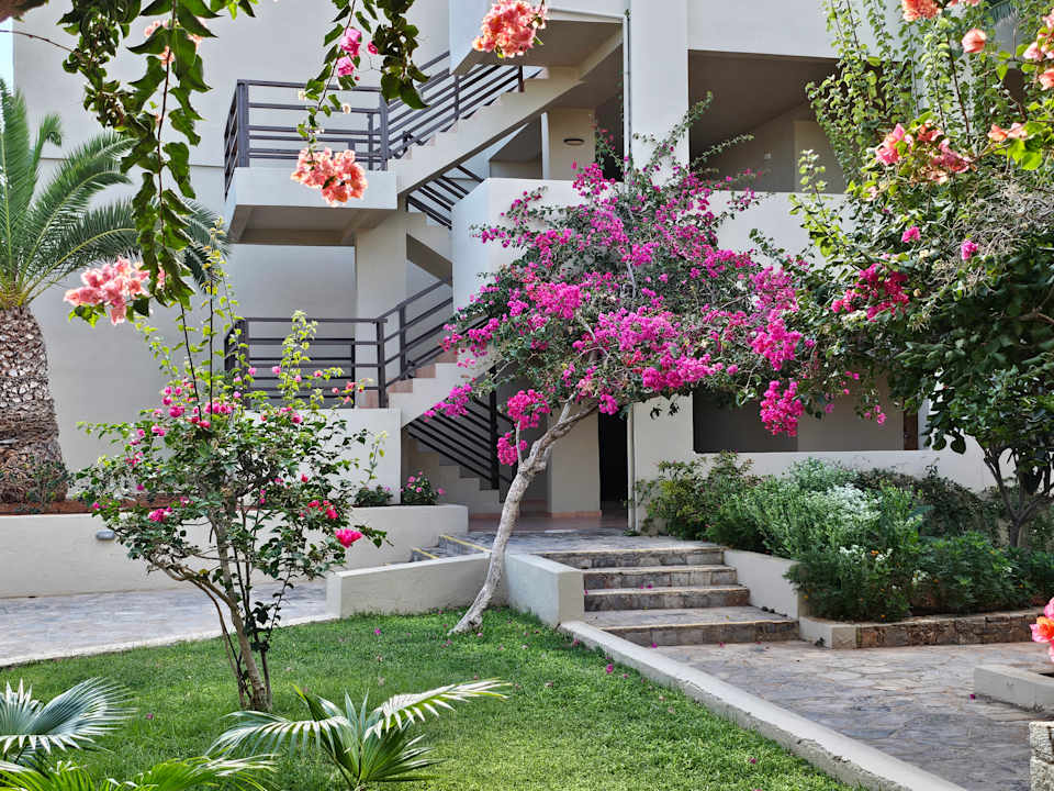 Gartenanlage allsun Hotel Malia Beach