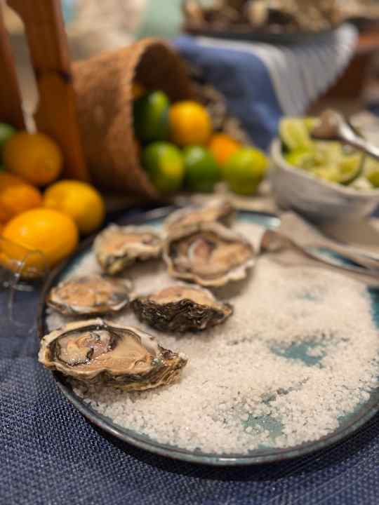 Gastro Iberostar Selection Albufera Park