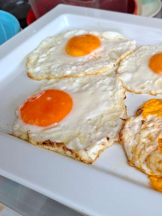 Gastro Pipa Hotel Bangkok Sukhumvit 11