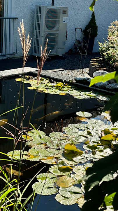 Gartenanlage Moselromantik Hotel Kessler-Meyer