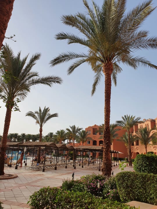 Gartenanlage Jaz Makadi Oasis Resort