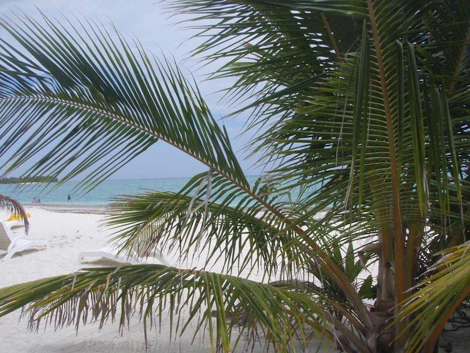 Am Strand Summer Island Maldives