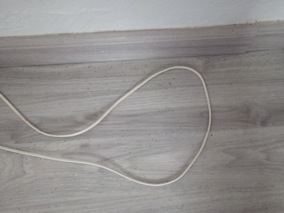 Zimmer SBH Hotel Taro Beach