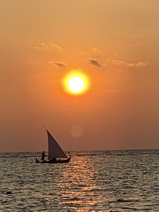 Strand Summer Island Maldives