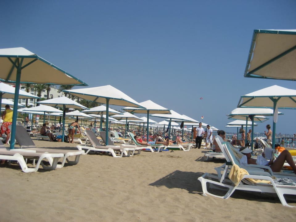 Liegen PALOMA Perissia