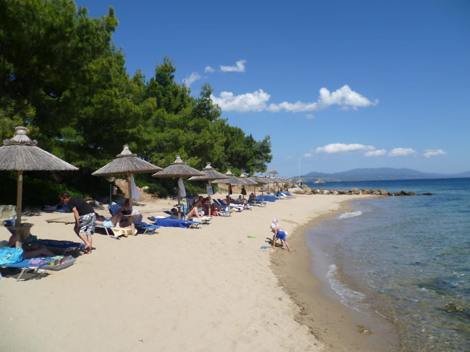 Strand Blue Dolphin Resort Hotel