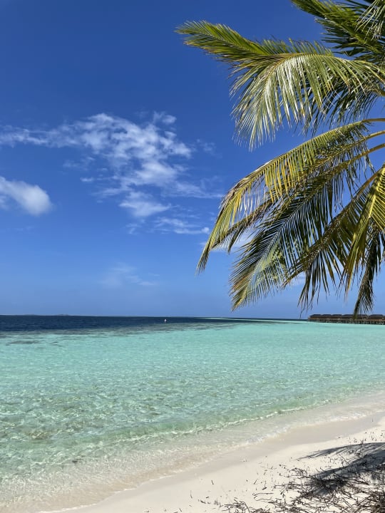 Strand Vilamendhoo Island Resort & Spa