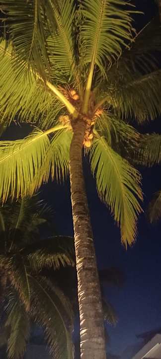 Gartenanlage Le Peninsula Bay Beach Resort & Spa